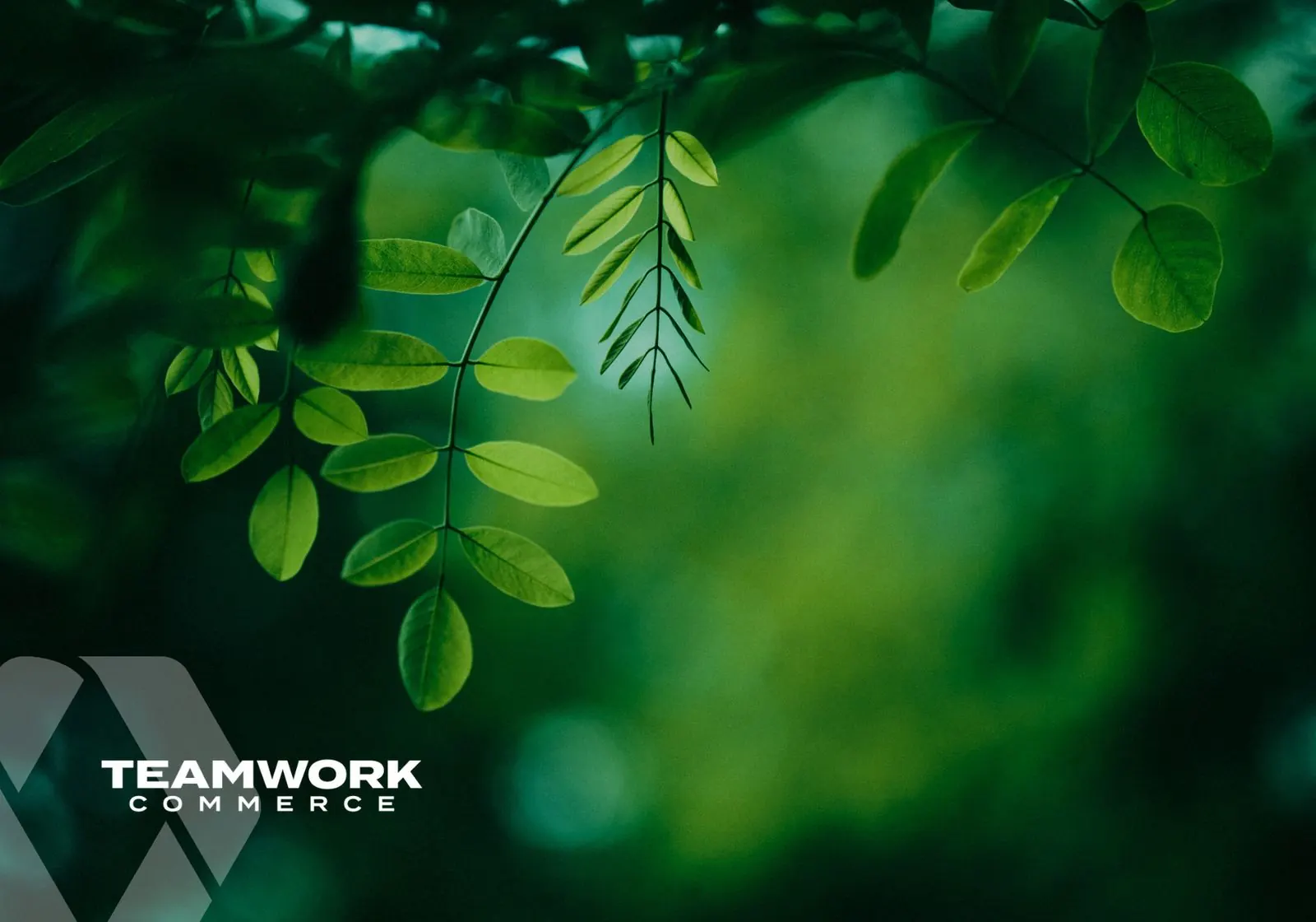 How Teamwork Commerce is Helping Retail Become More Sustainable
