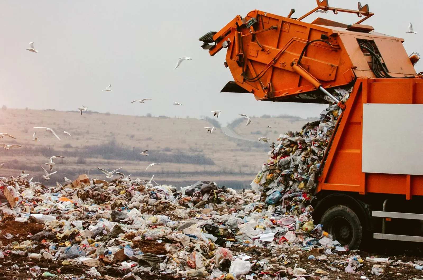 Net Zero Week: 3 Ways Technology Can Help Retailers Improve Environmental Impact