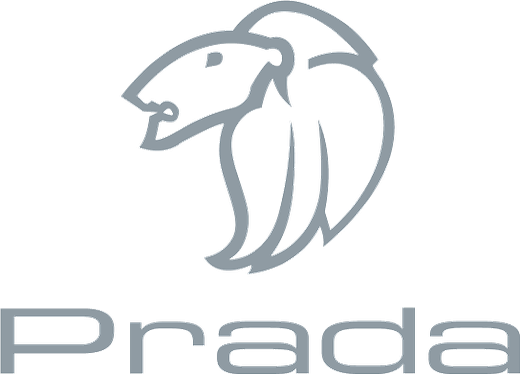 Prada Shoes
